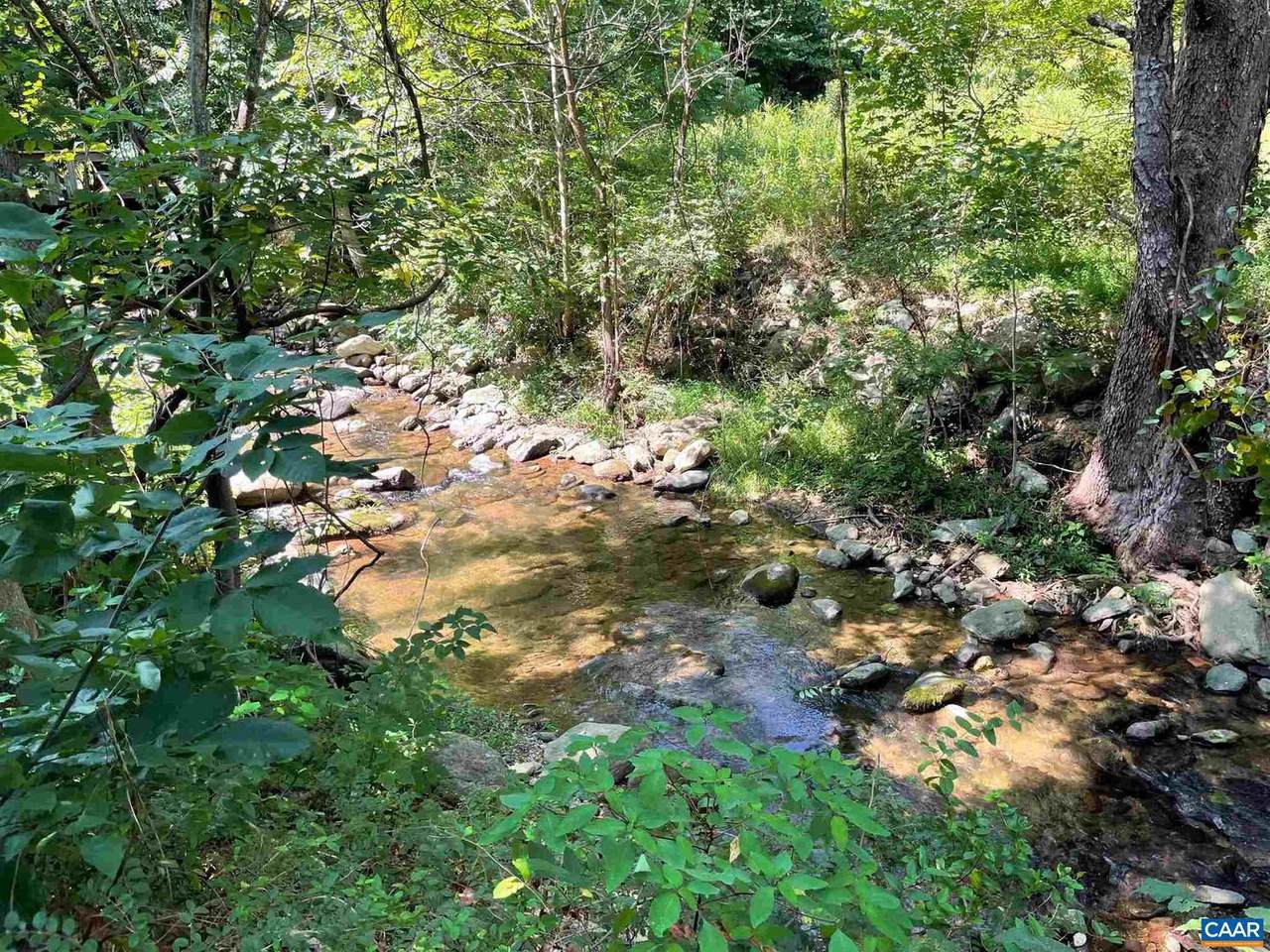 TBD Beech Grove Rd - Photo 1