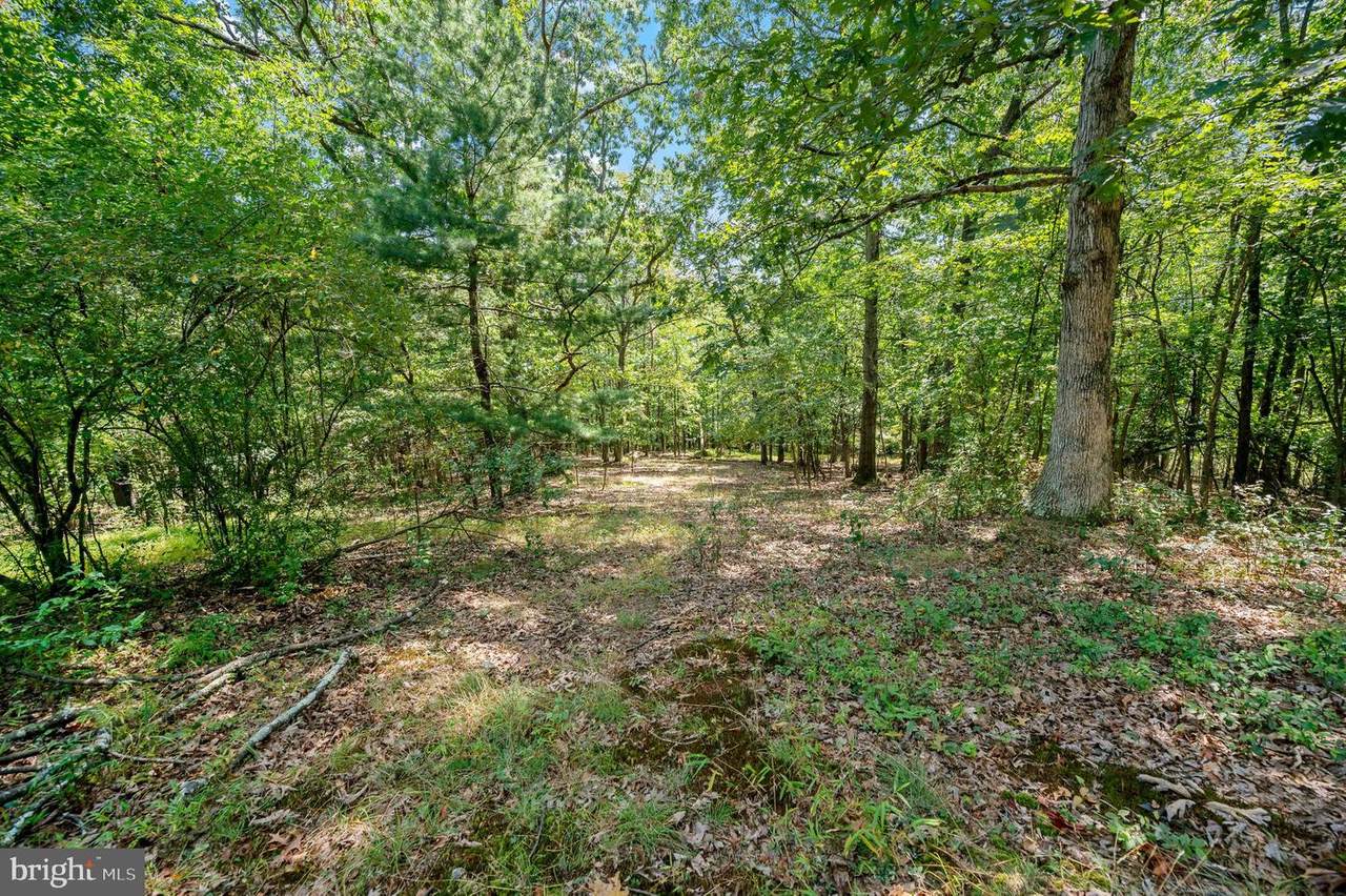 Lots 6A, 6B, 6C Fairview Drive - Photo 1