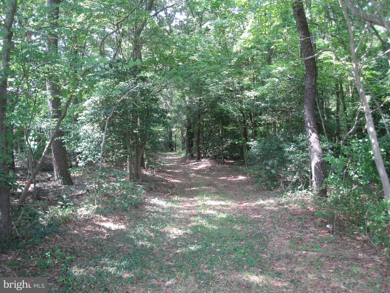 24122 Lawson Road - Photo 1