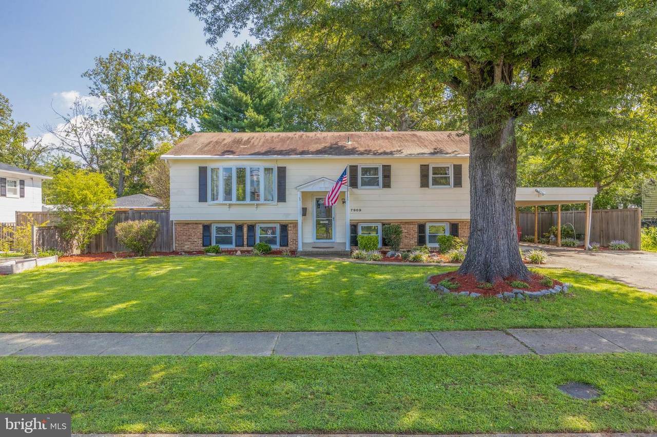 7909 Donelson Street - Photo 1
