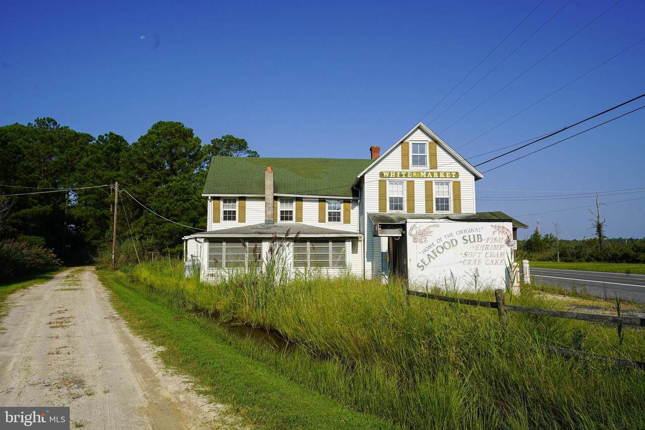 26519 Deal Island Road - Photo 1