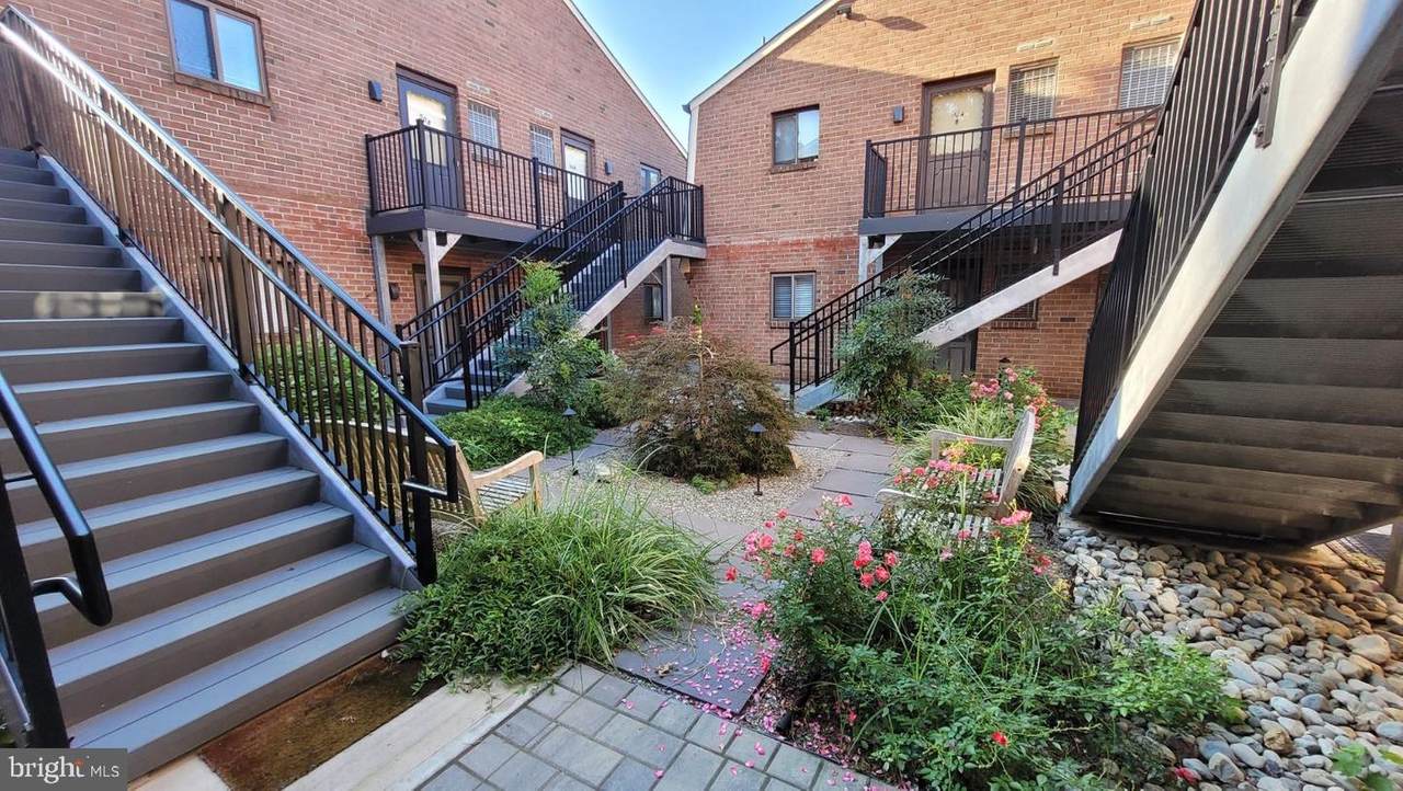 423 Meadow Woods Lane - Photo 1