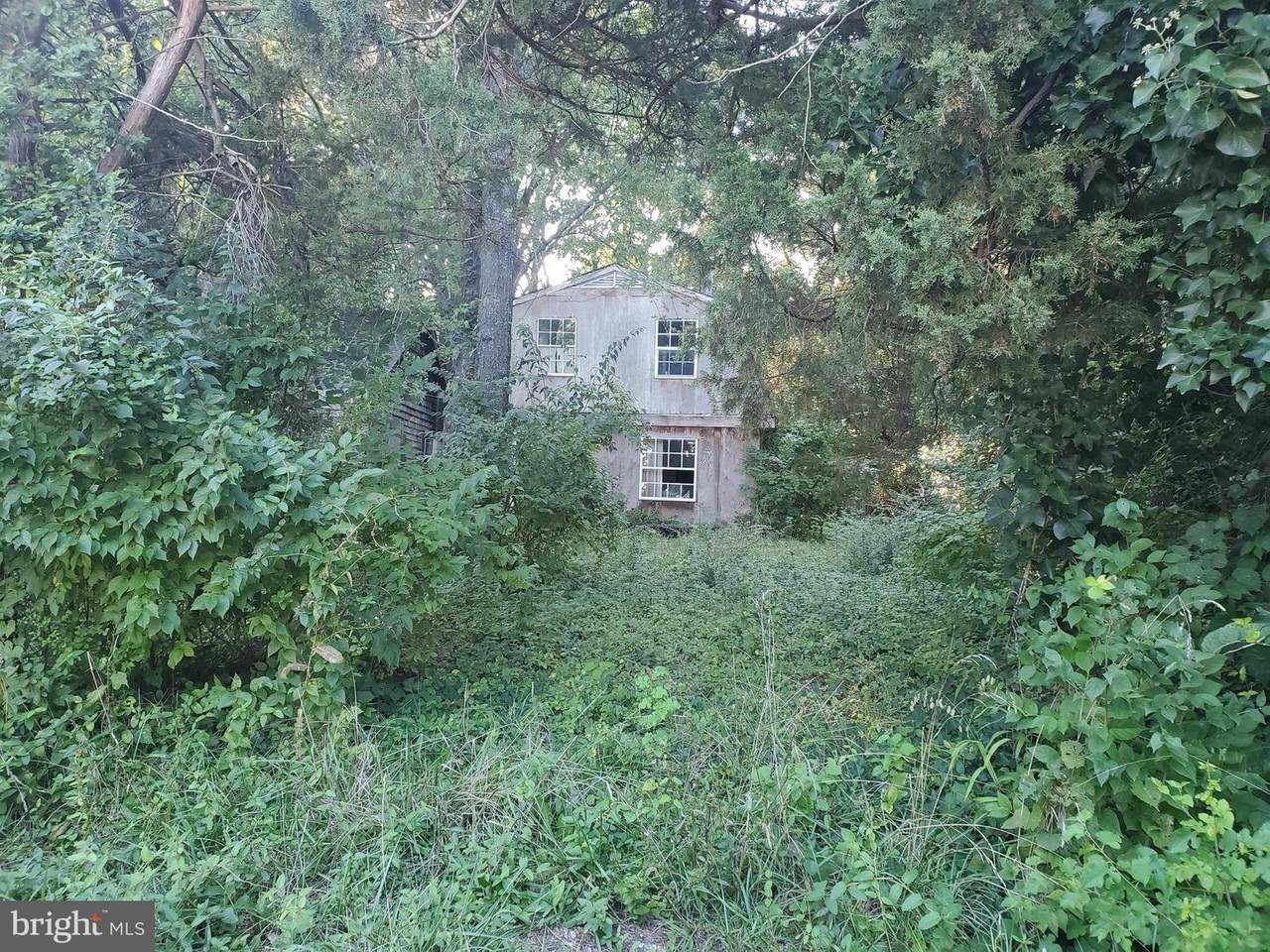 8726 Sewell Point Road - Photo 1