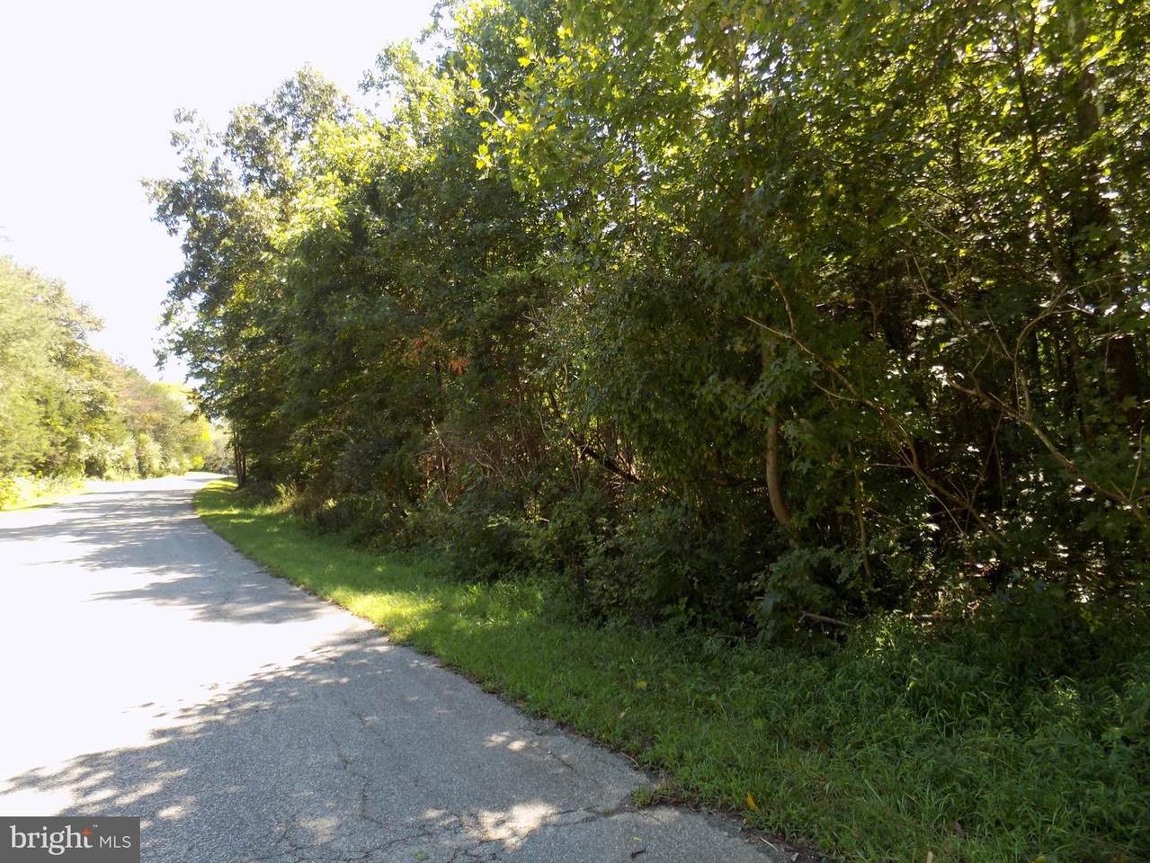 5300 Wilton Lane - Photo 1