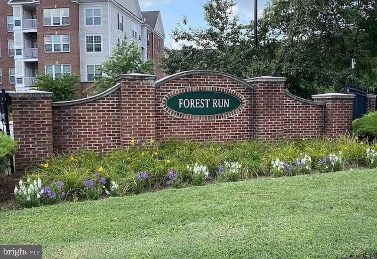 2801 Forest Run Drive - Photo 1