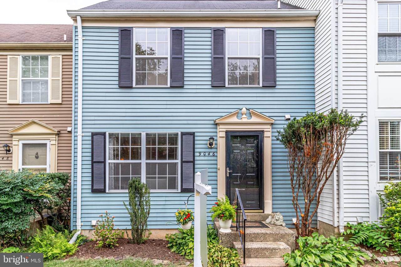 9046 White Rose Lane - Photo 1