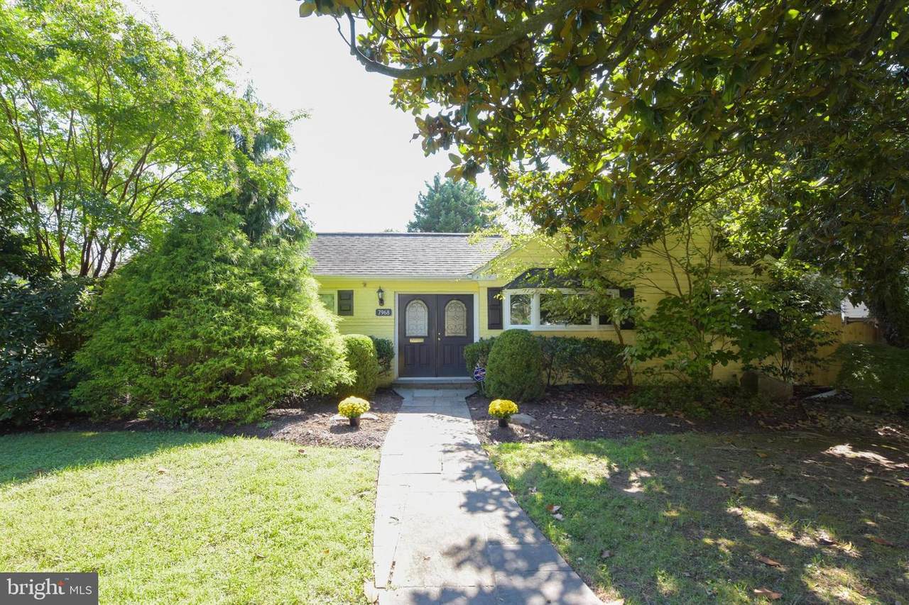 7968 Bolling Drive - Photo 1