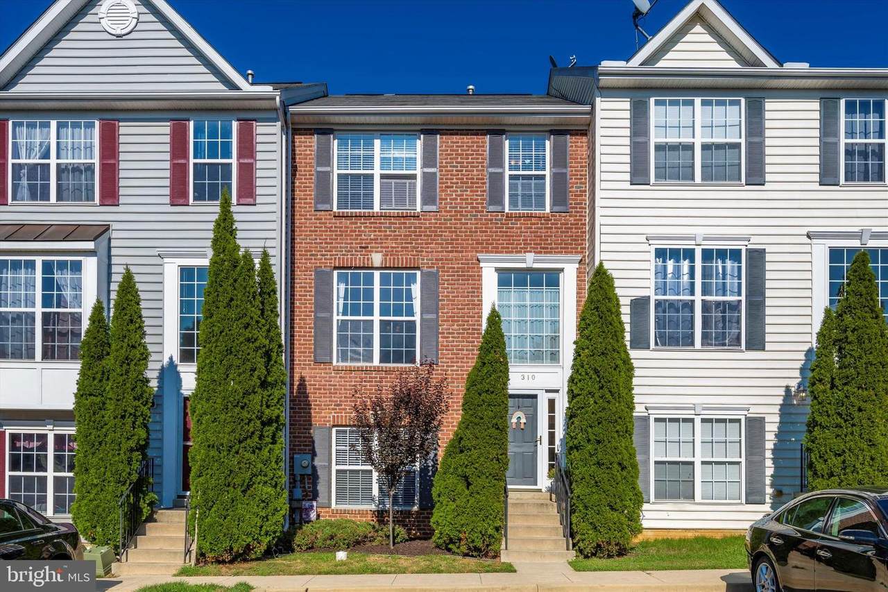 310 Green Fern Circle - Photo 1