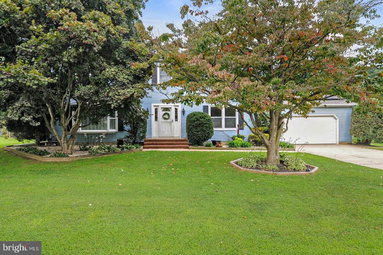 11 Douglas Court - Photo 1