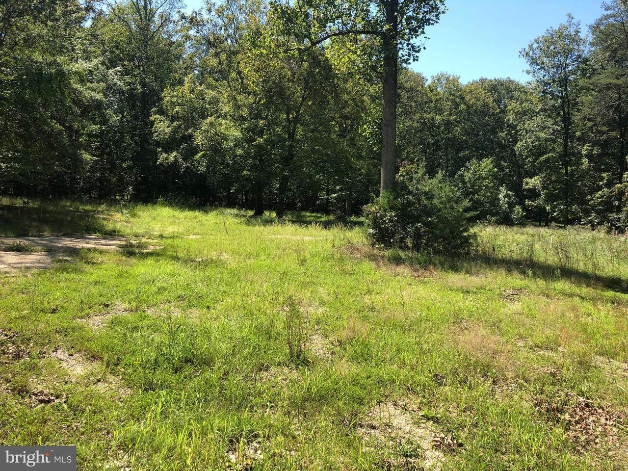 13311 Old Indian Head Road - Photo 1