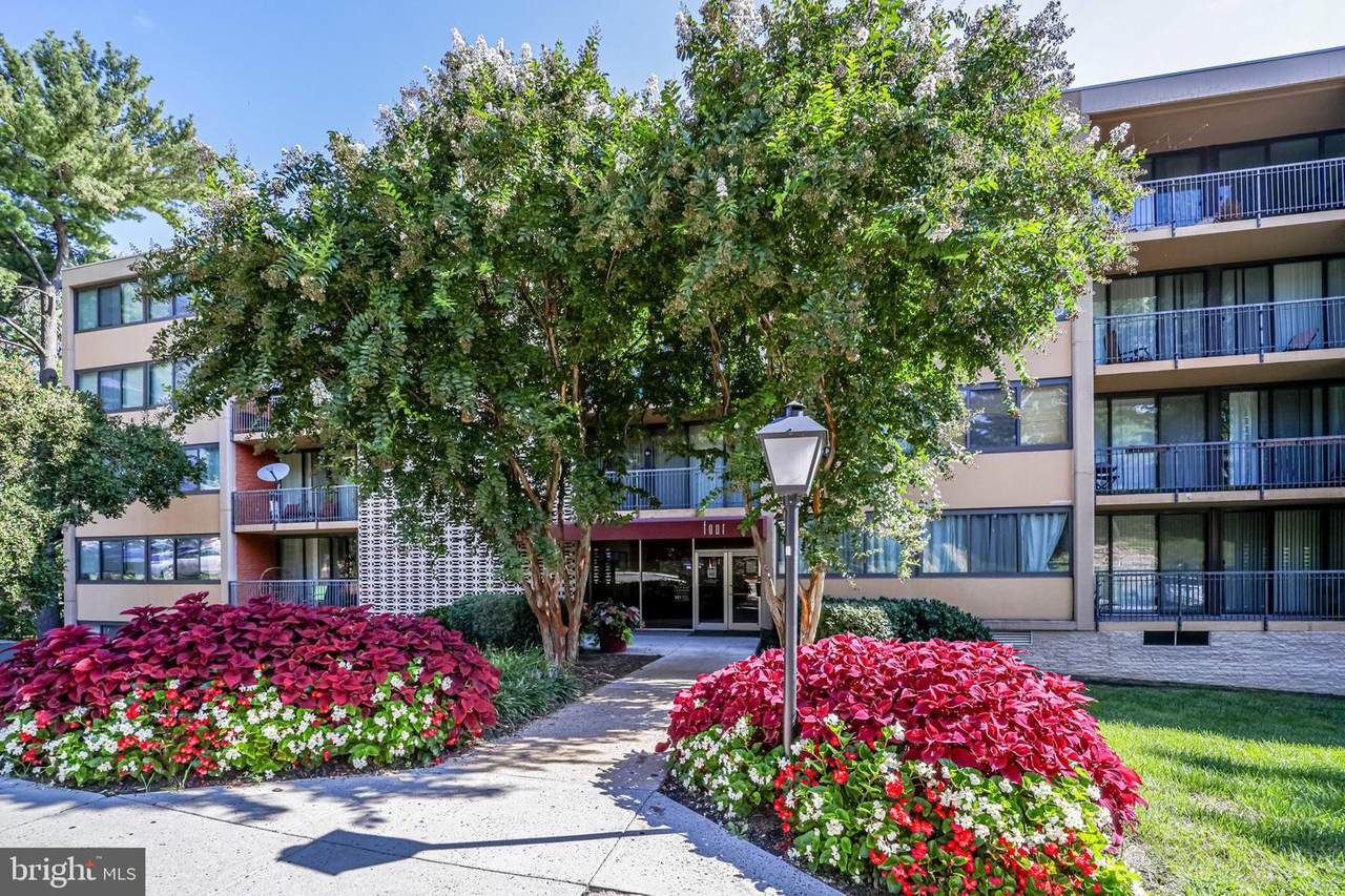 4 Van Dorn Street - Photo 1