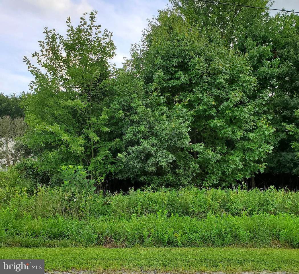 Airy Hill-Brices Mill Road - Photo 1