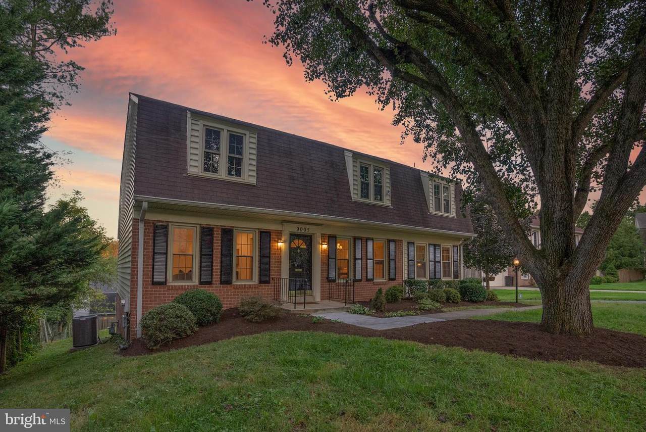 9005 Levelle Drive - Photo 1