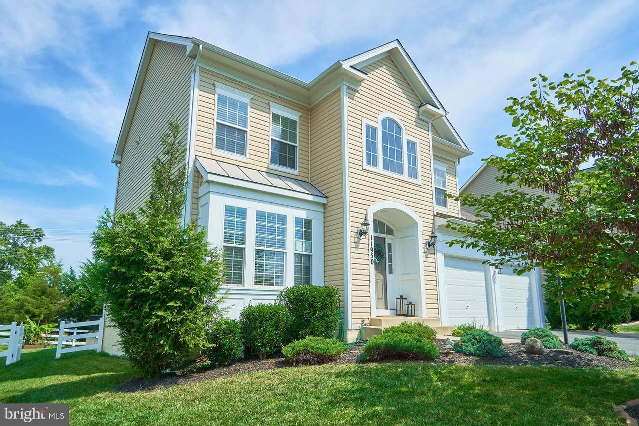 11950 Blue Violet Way - Photo 1