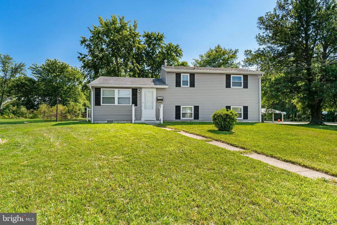 20 Chestnut Drive - Photo 1