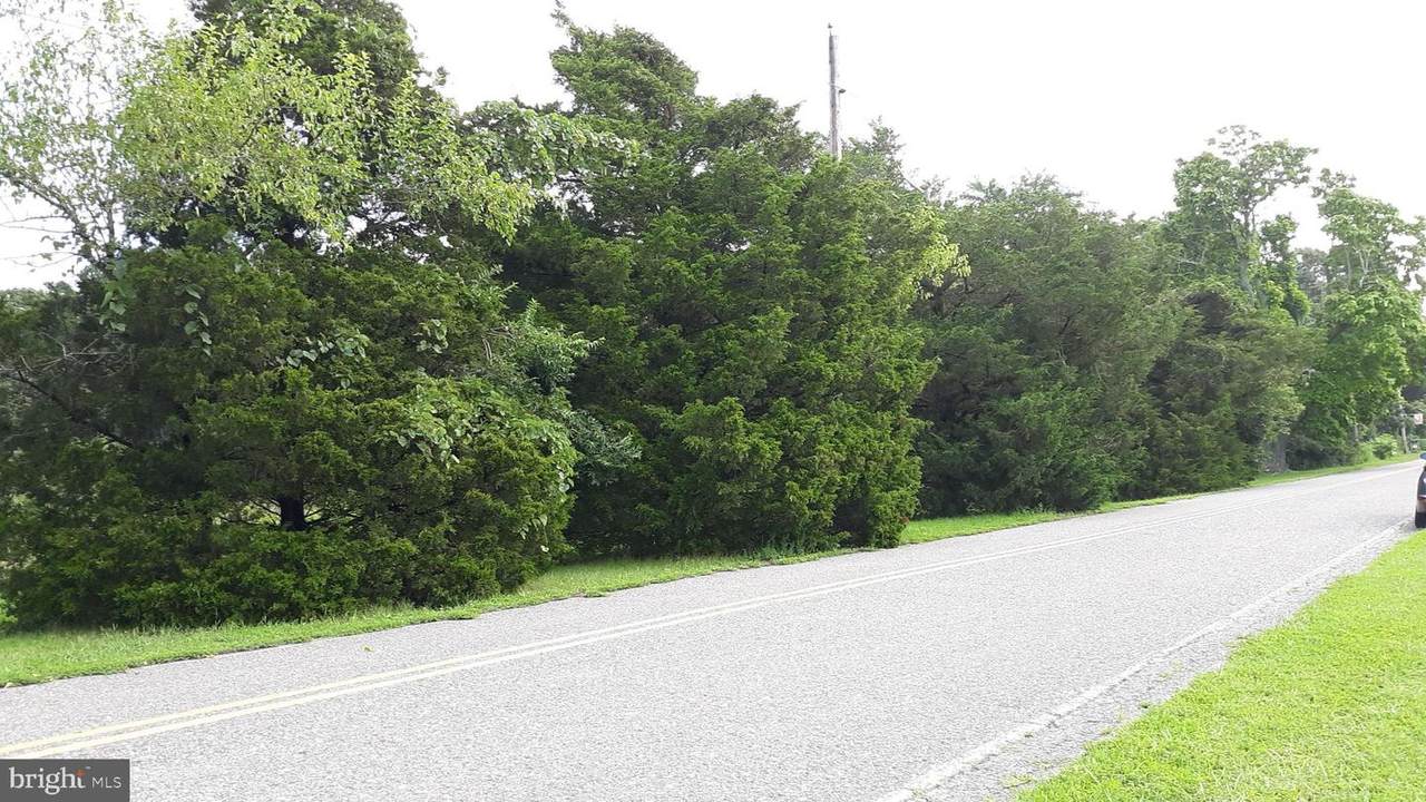 0 Sheppards Mill Road - Photo 1