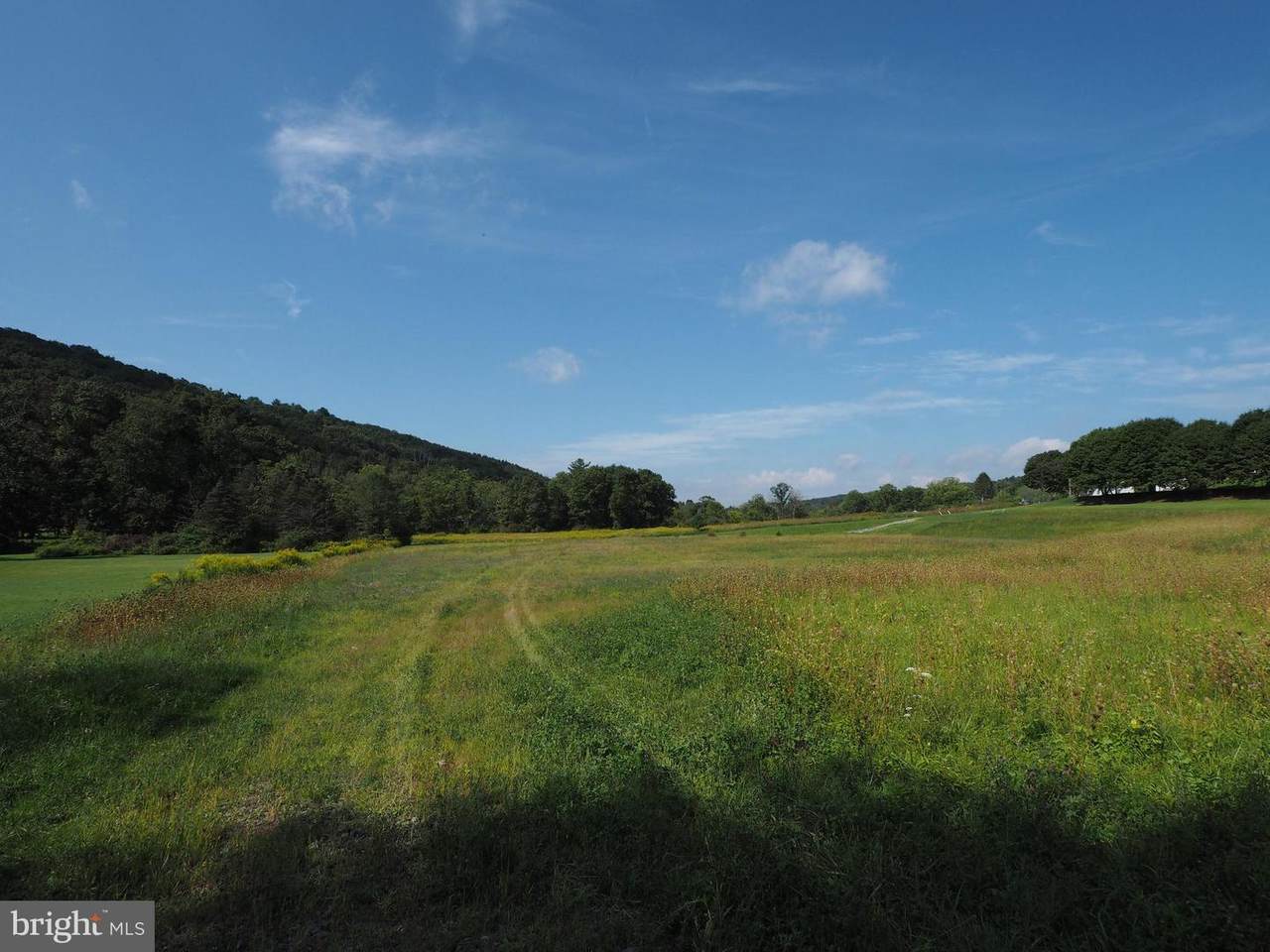 0 Mush Dahl /West Penn Pike Road - Photo 1