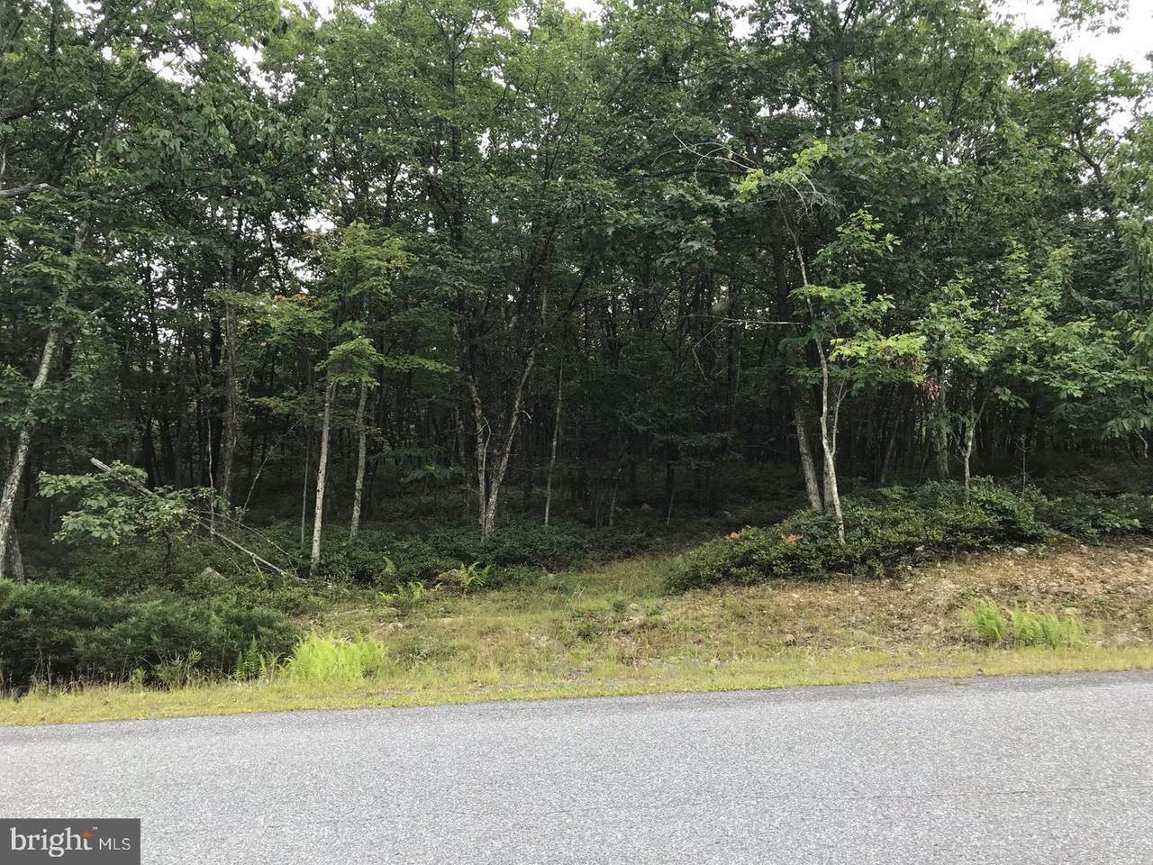 TW521 Scotts Pine Way - Photo 1