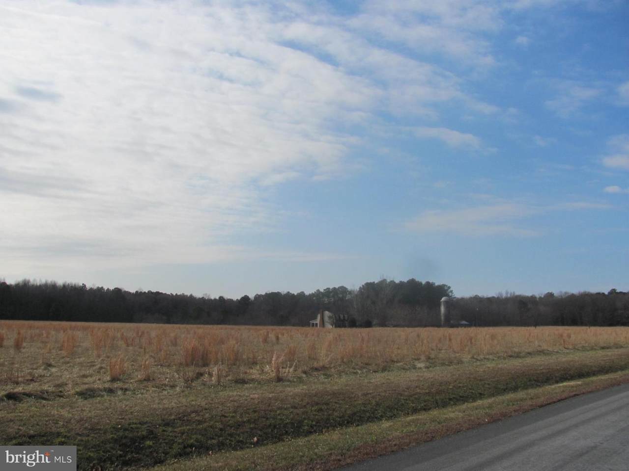 27458 Martins Farm Road - Photo 1
