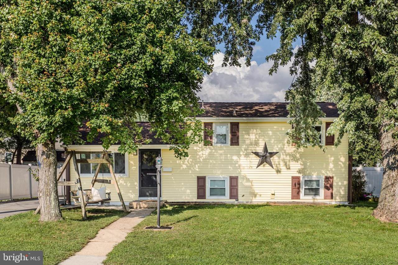 42 Chestnut Drive - Photo 1