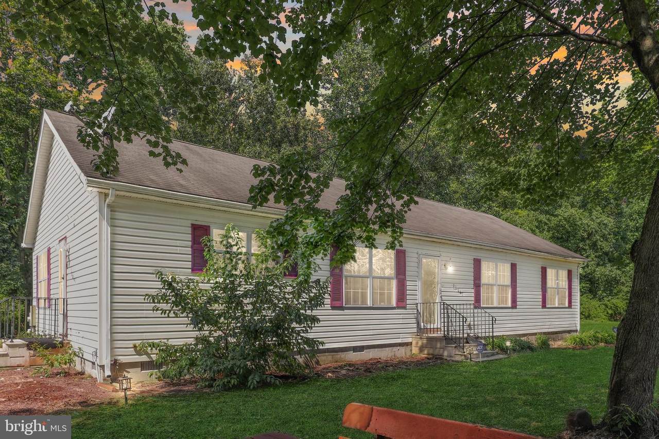 10061 Fawn Road - Photo 1