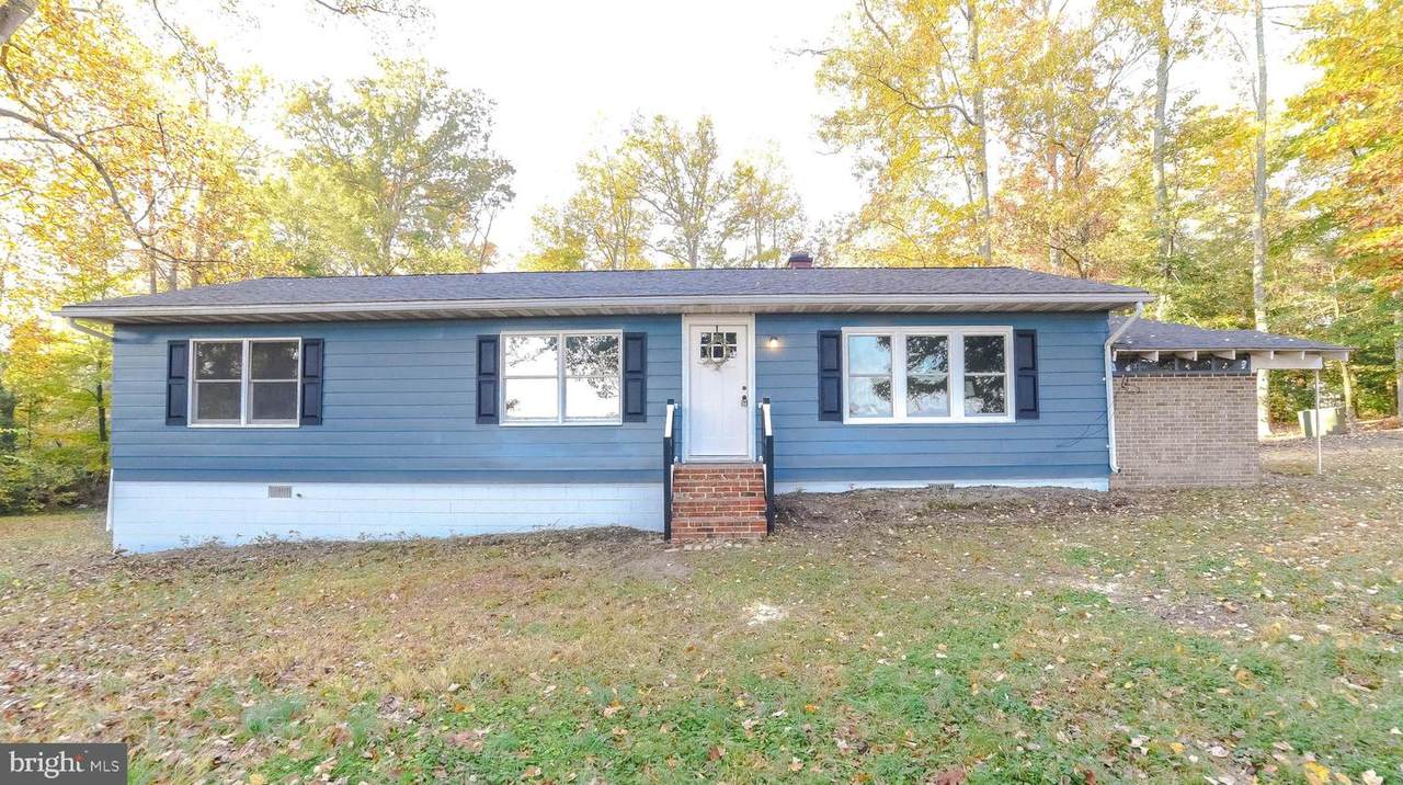 25137 Nolan Road - Photo 1