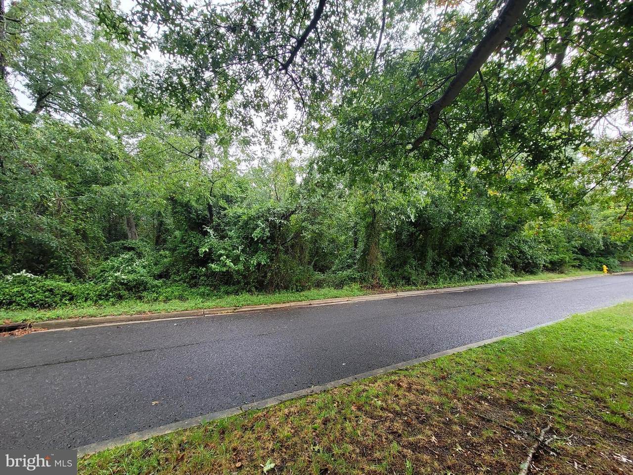 37 Sunset Drive - Photo 1