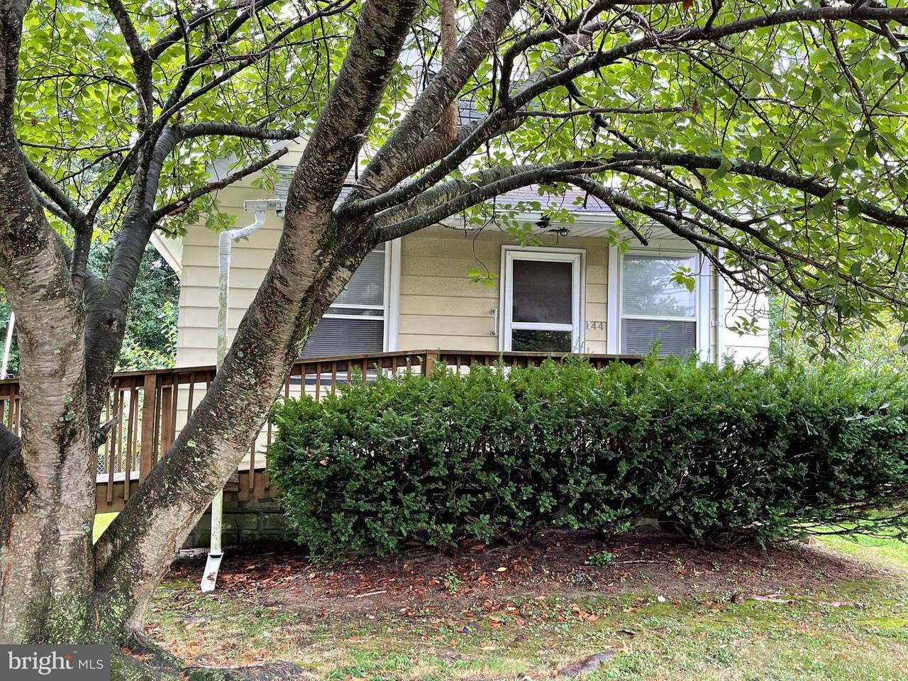 44 Richmond Avenue - Photo 1