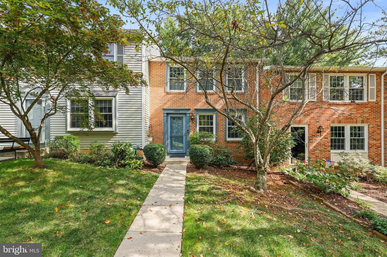 11523 Ivy Bush Court - Photo 1