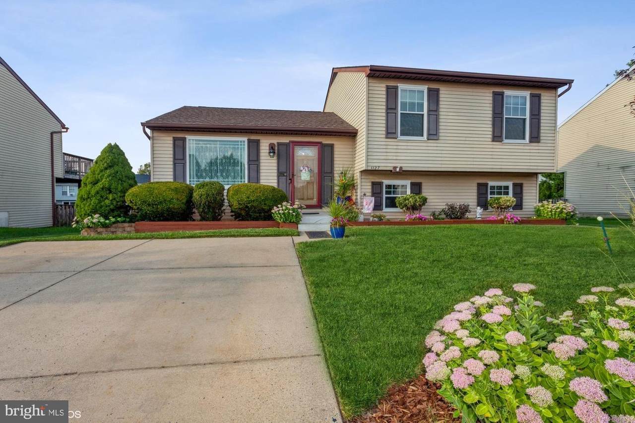 1127 Windy Branch Way - Photo 1