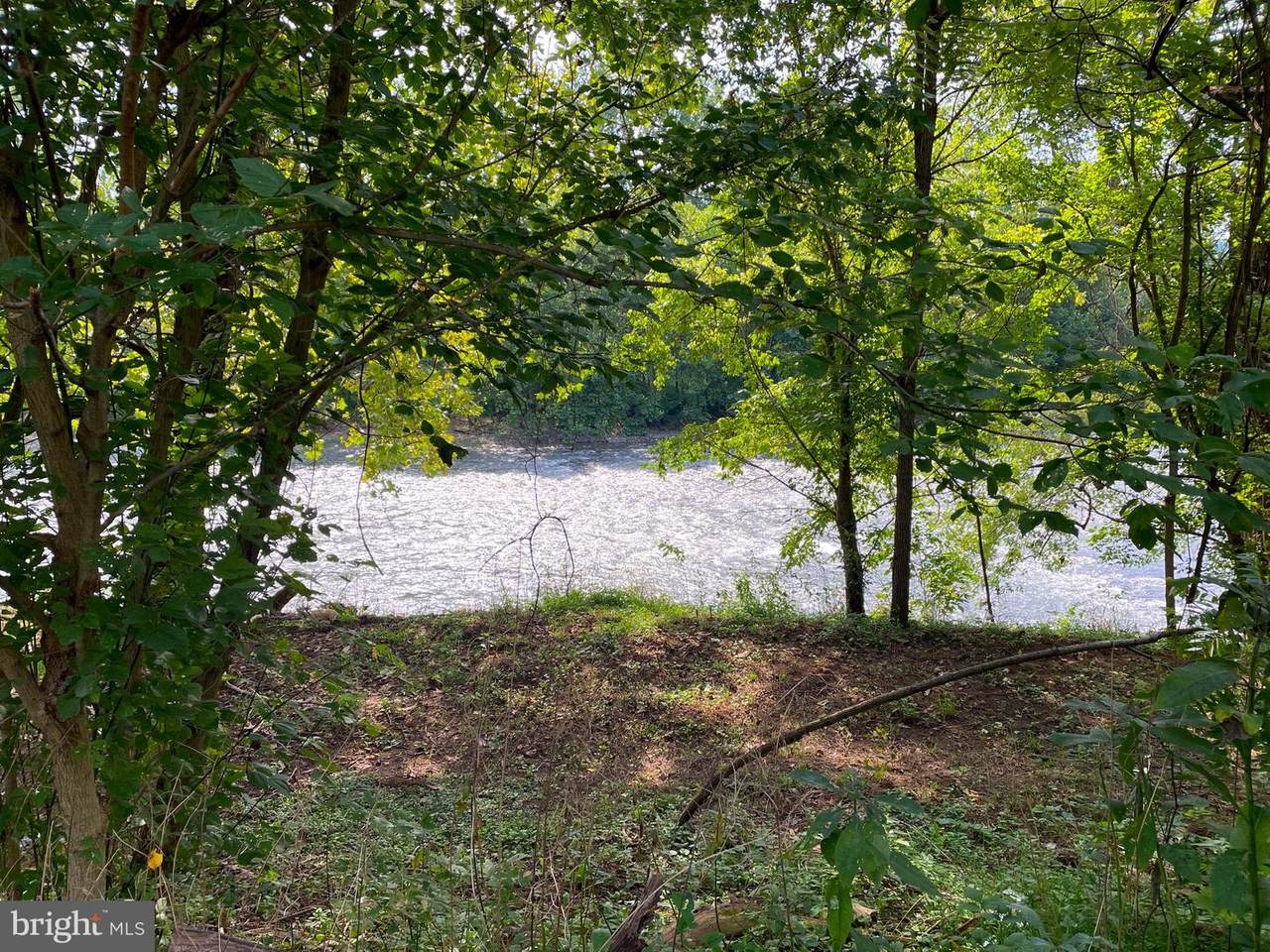 1461 Springfield Pike - Photo 1