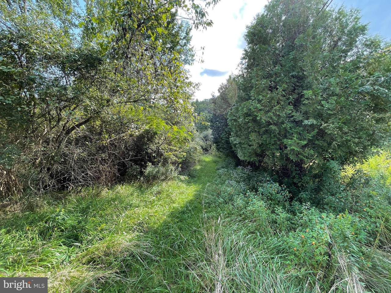 Starbright Drive - Photo 1