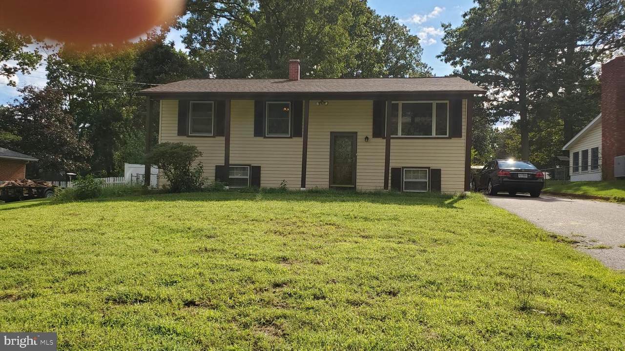 805 Danza Road - Photo 1