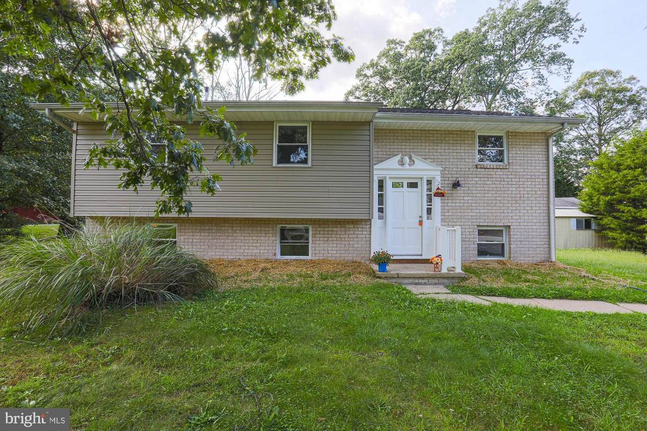 8432 Forest Drive - Photo 1