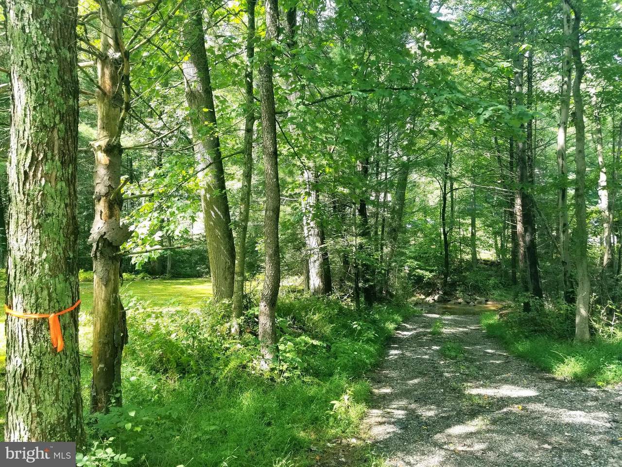 0 Tapeworm Lane - Photo 1