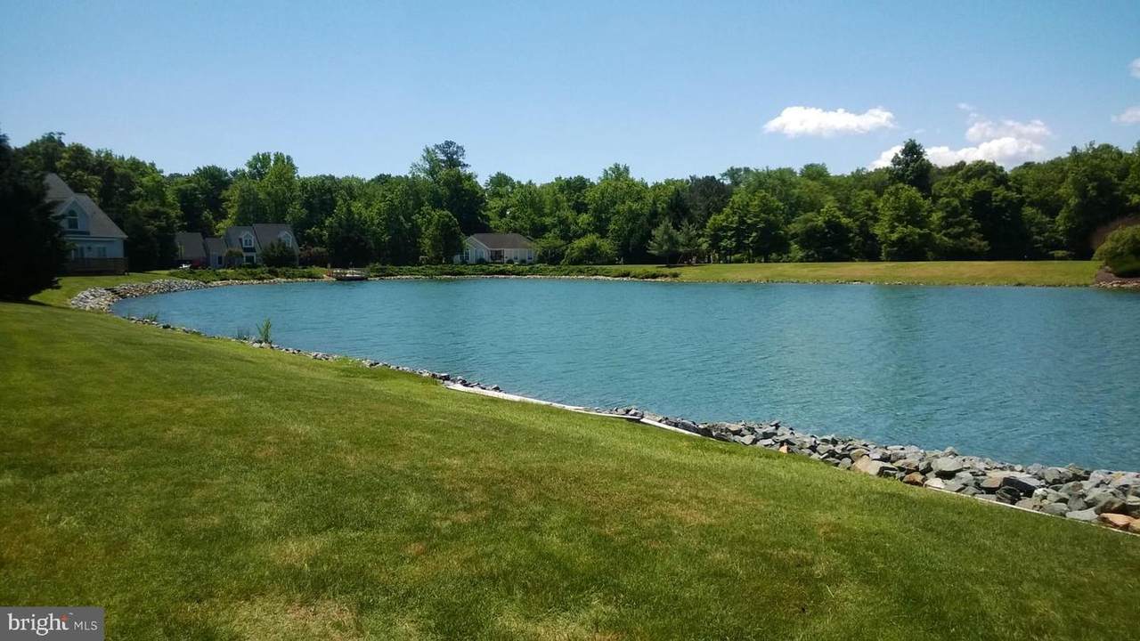 10035 Mill Pond Drive - Photo 1