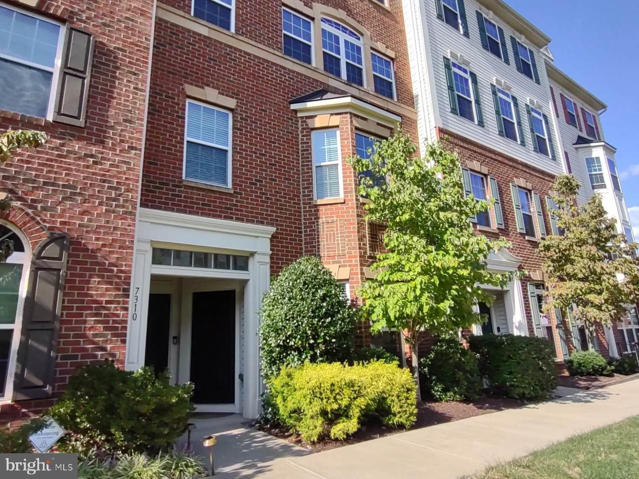 7308 Brunson Circle - Photo 1