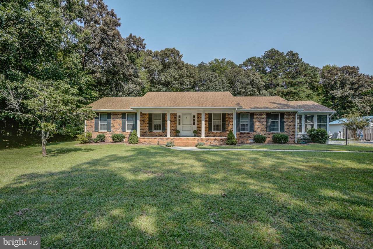22977 Deep Branch Road - Photo 1