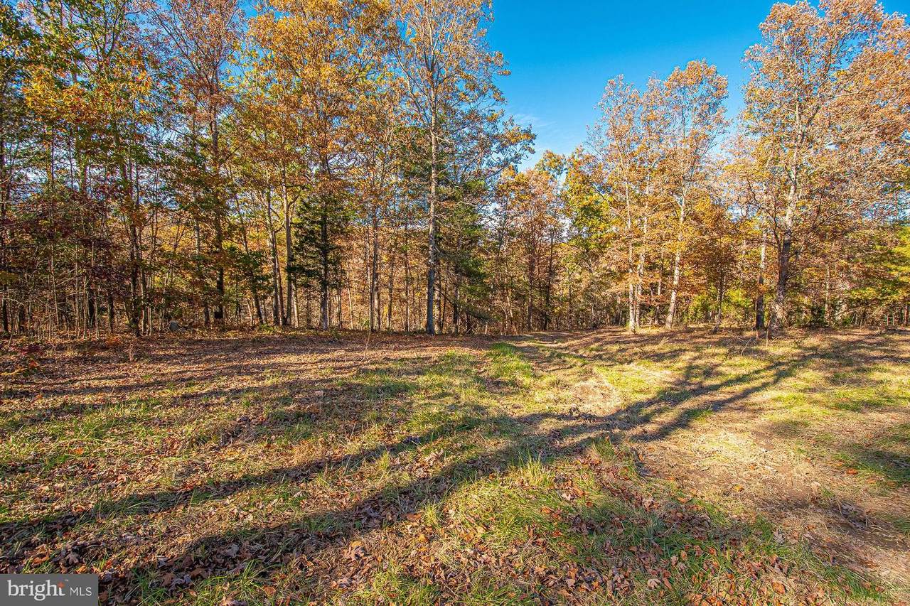 Bowman Hollow Road - Photo 1