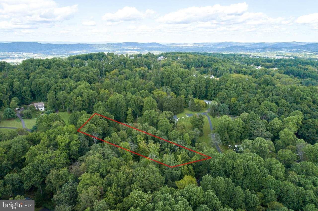 5753 Applebutter Hill Road - Photo 1