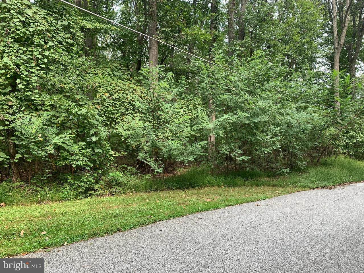 Lentz Road - Photo 1