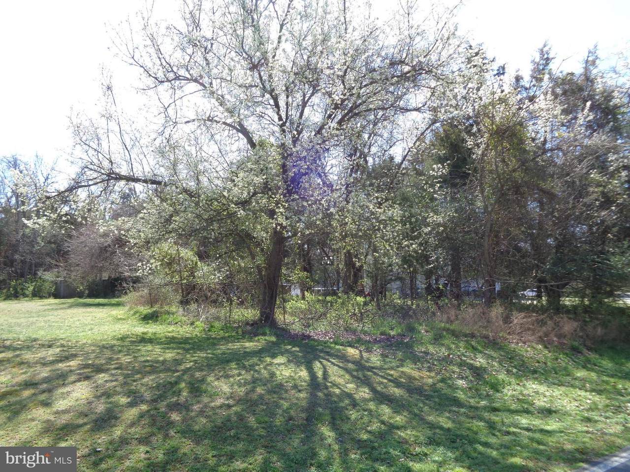 12360 Potomac View Drive - Photo 1