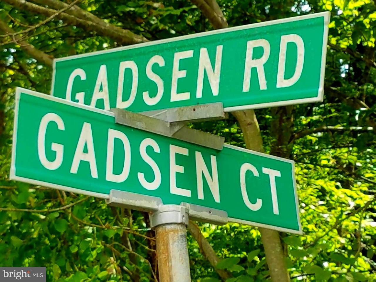14029 Gadsen Court - Photo 1