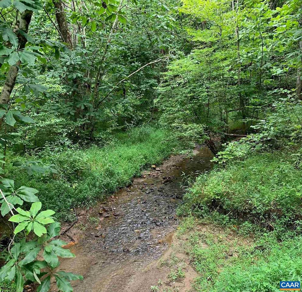 00000 Glade Rd - Photo 1