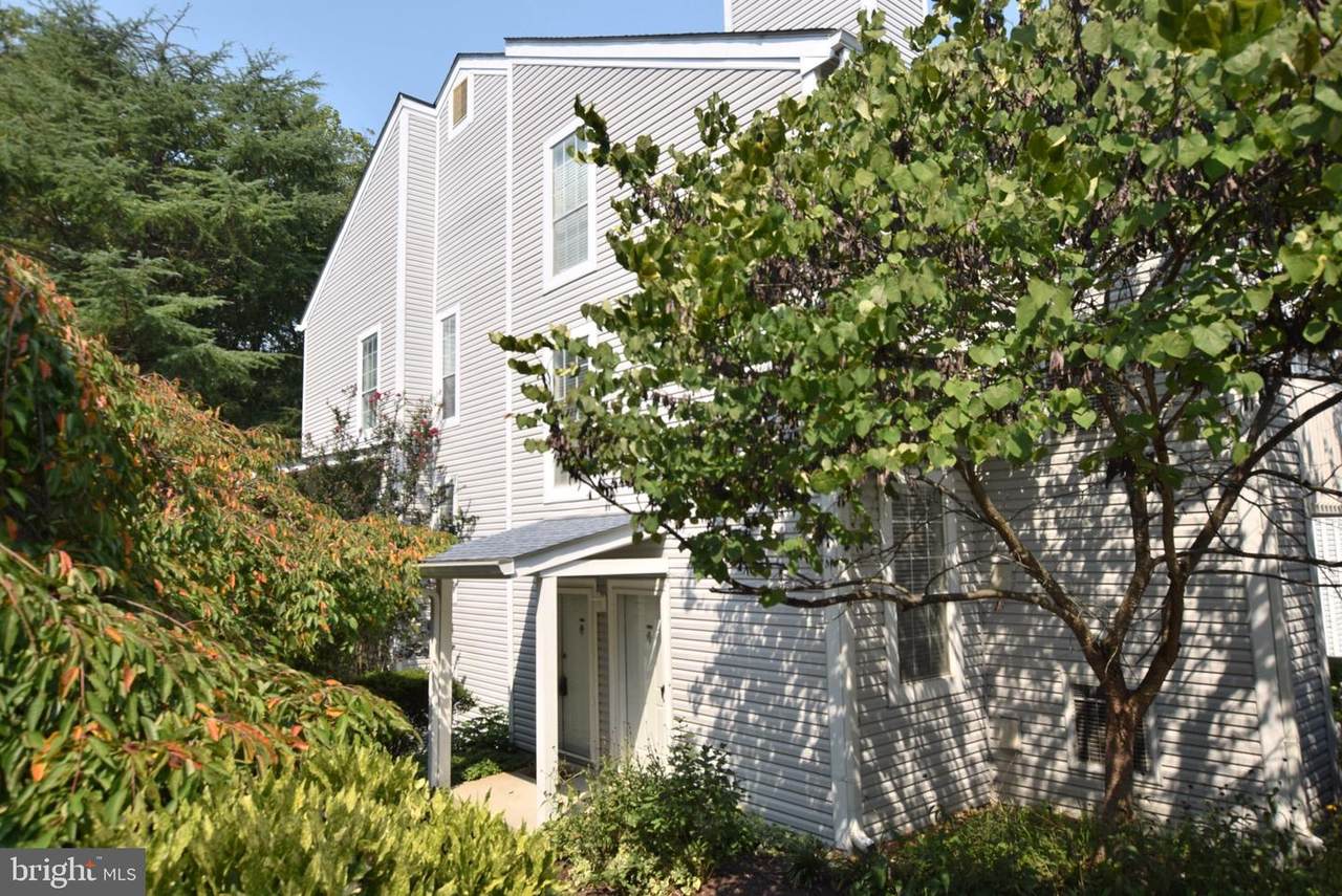 12086 Cardamom Drive - Photo 1