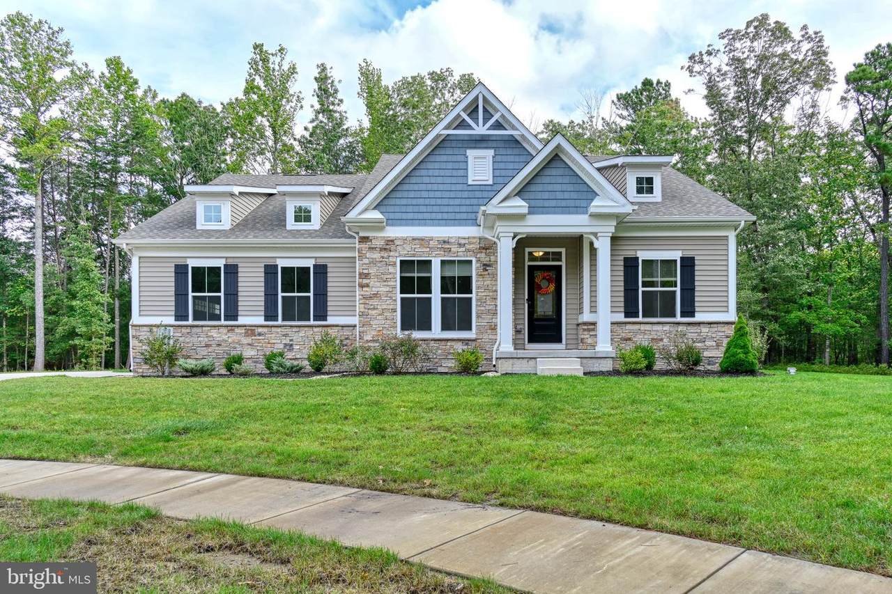 35039 Hammock Court - Photo 1