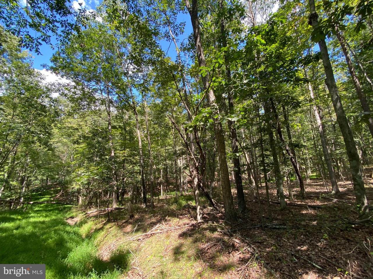 Lakeview Drive - Photo 1