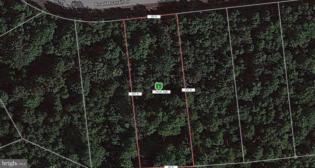 0 Broad Mountain Road - Photo 1