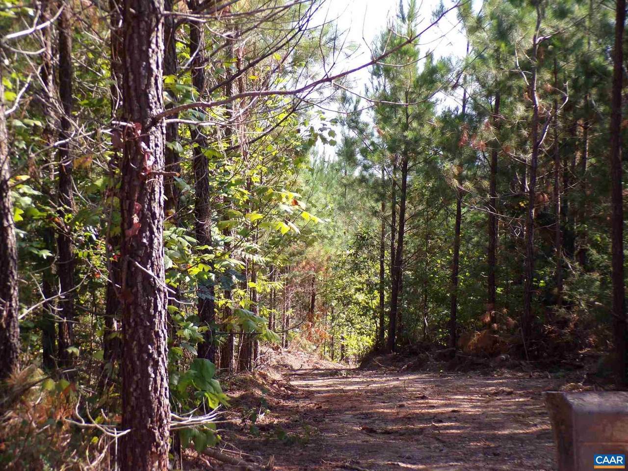Webb Mill Rd - Photo 1