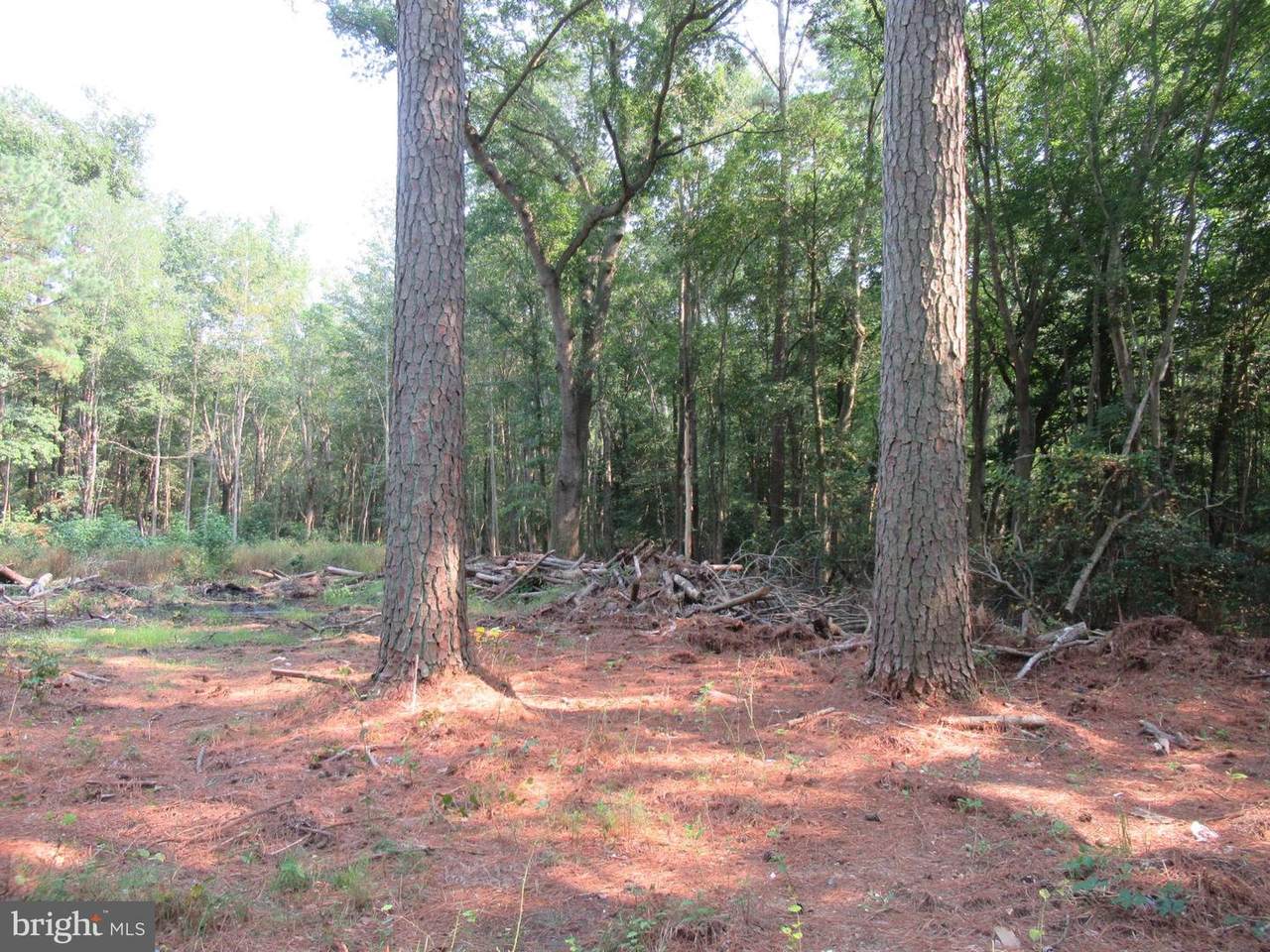 Old State Road - Photo 1